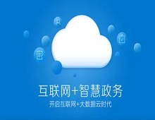 <b>移动政务民生服务平台</b>